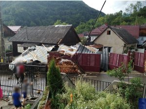 Rodna